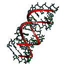 (image of DNA
double helix)