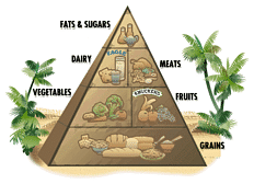 (image of
USDA-type
food pyramid)