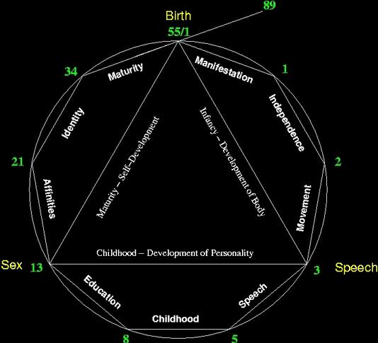 (image of
detailed phases of life)